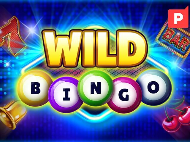 win575 Bingo Selvagem